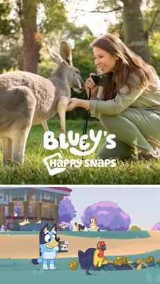 Bindi Irwin entf&uuml;hrt uns in die Welt von „Bluey’s Happy Snaps“!