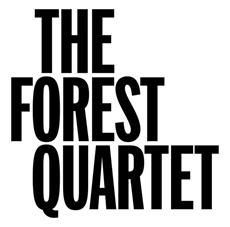 The Forest Quartet Out Now on Steam and PlayStation 5 &amp; 4