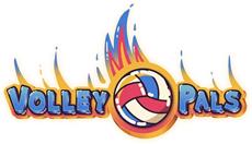 Volley Pals Available Now on Steam and Xbox