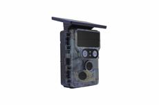 Wildbeobachtung zwischen Sonnenaufgang und Sternenhimmel