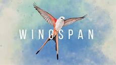 Wingspan, a relaxing award-winning strategy card game, is now available on Steam! 